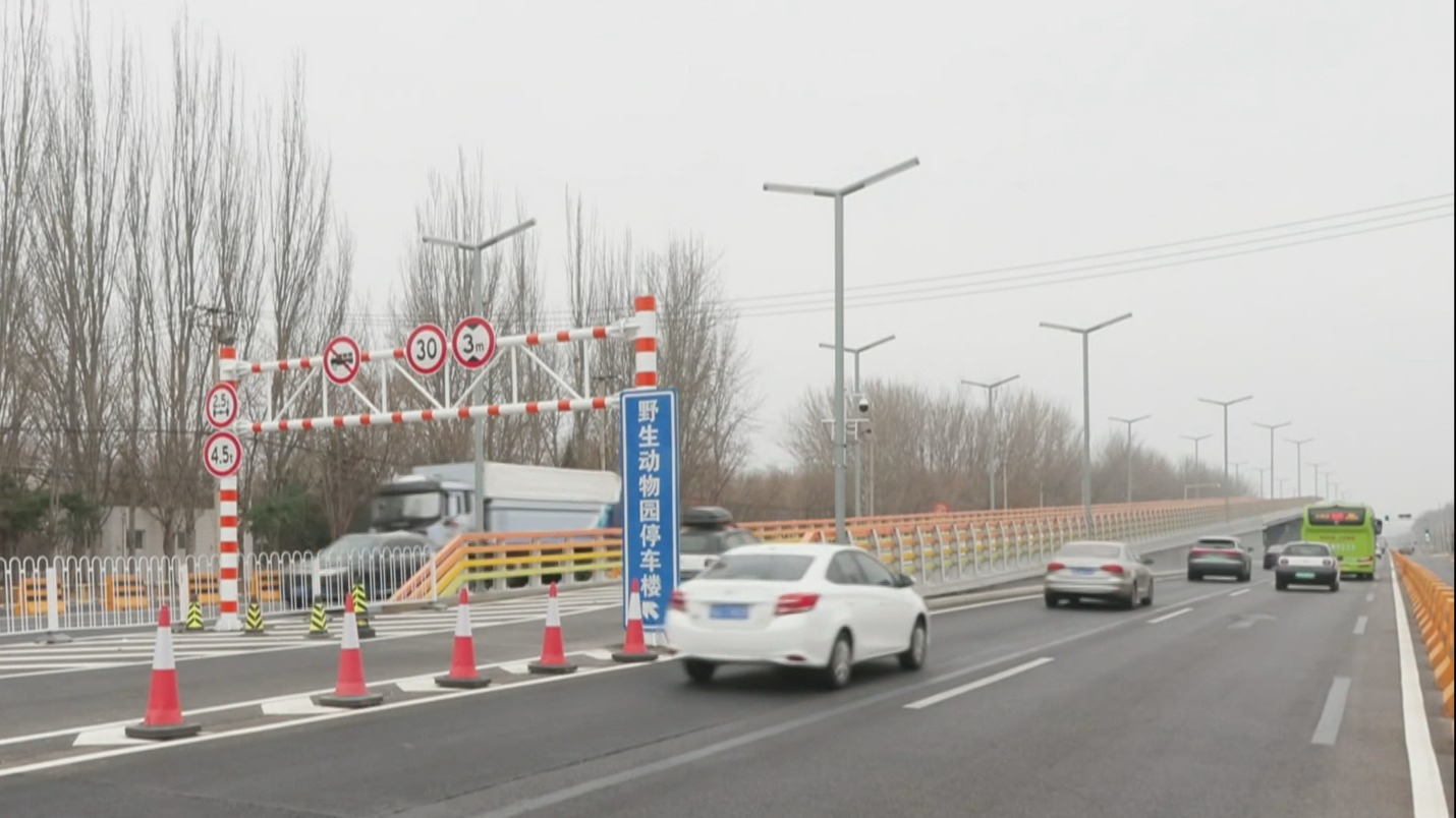有效缓解园区入口交通拥堵 北京野生动物园新匝道桥试运营