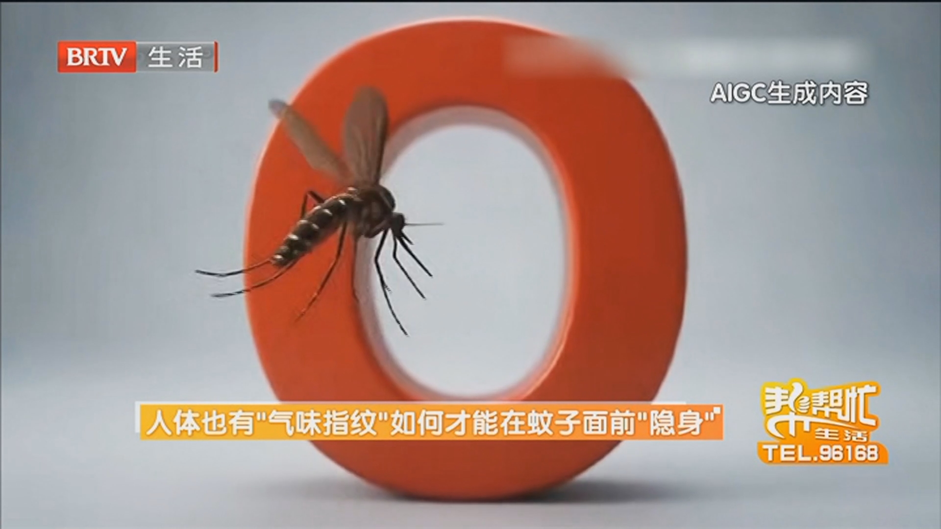 人体也有“气味指纹”如何才能在蚊子面前“隐身”