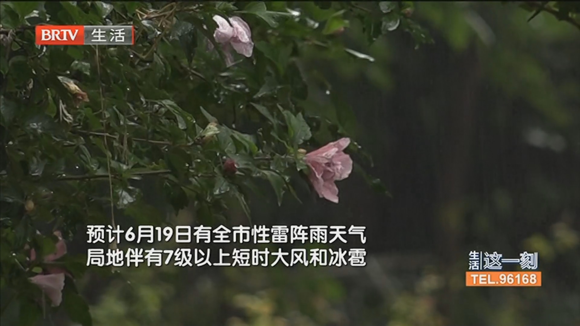 端午当天有雷阵雨 出行请带伞