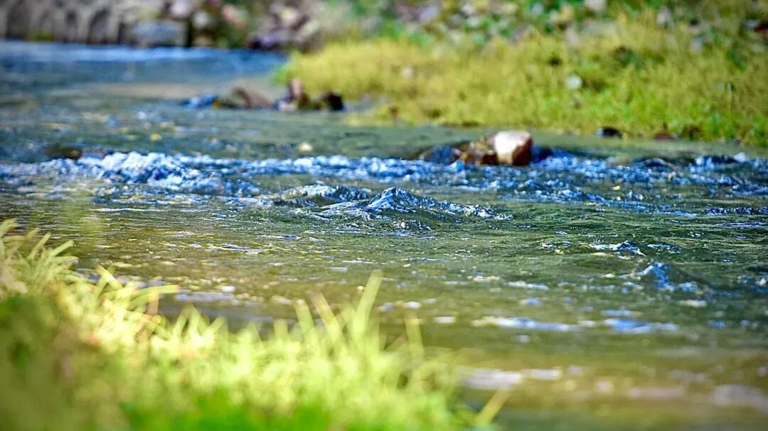 北京房山：长沟御塘贡米变身精酿 探索深加工新路径