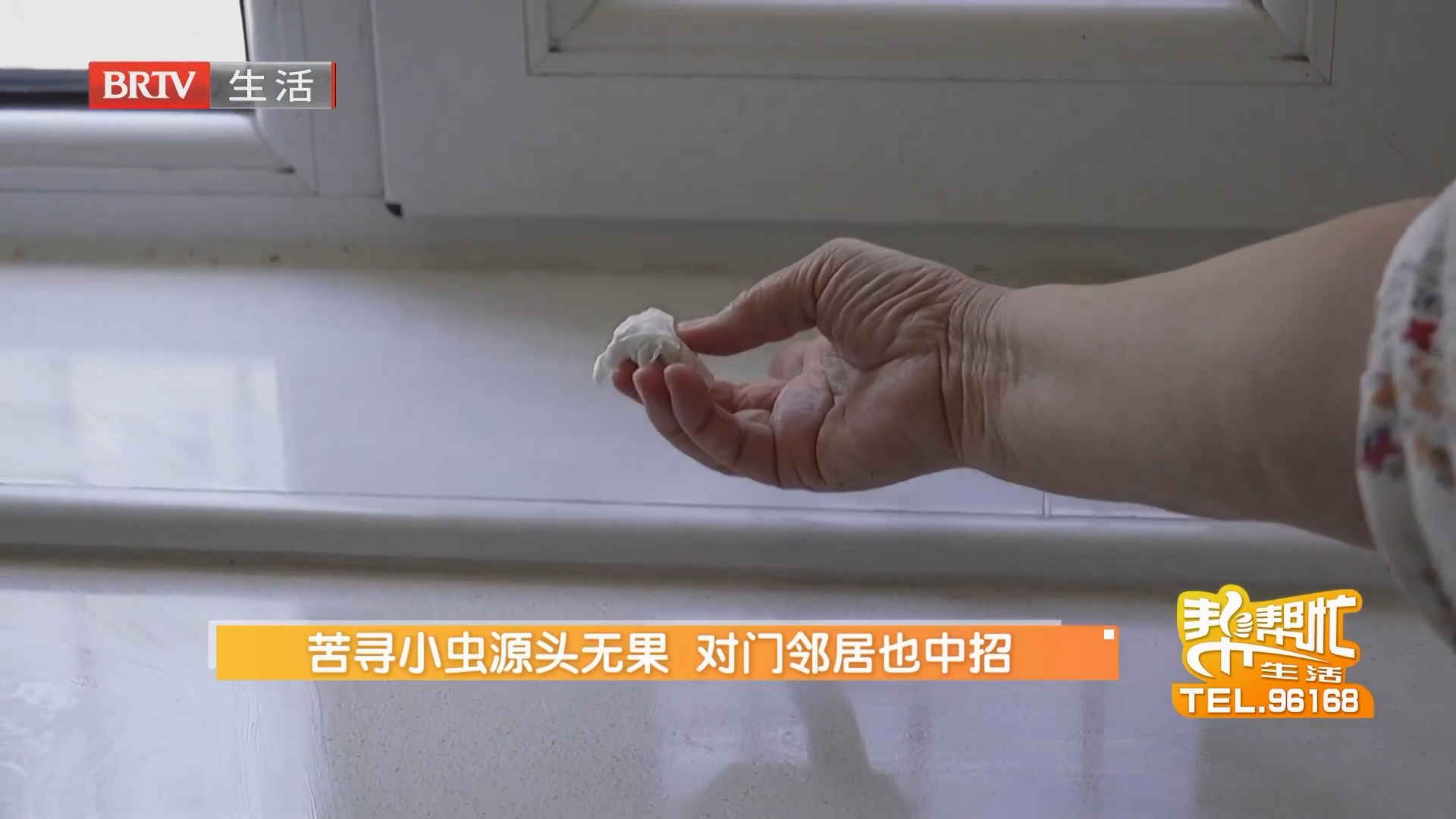 苦寻小虫源头无果 对门邻居也中招