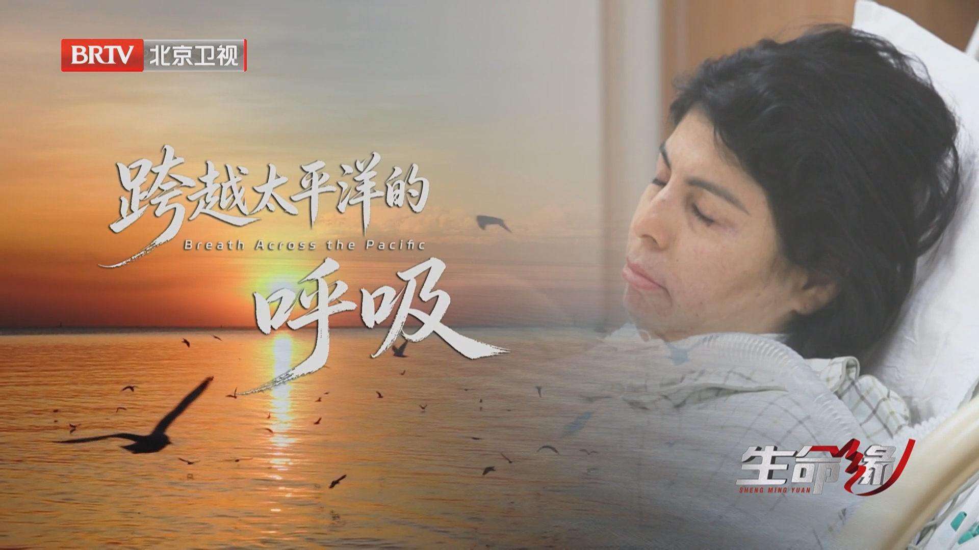 《生命缘》20260620跨越太平洋的呼吸