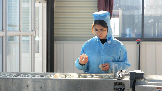 全国人大代表鲁曼：一幅羽毛画 绘就乡村振兴新图景