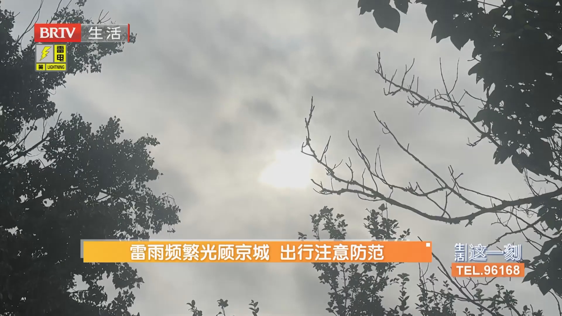 雷雨频繁光顾京城 出行注意防范 圆明园千亩荷塘进入最佳观赏期 雷雨频繁光顾京城 出行注意防范 圆明园千亩荷塘进入最佳观赏期