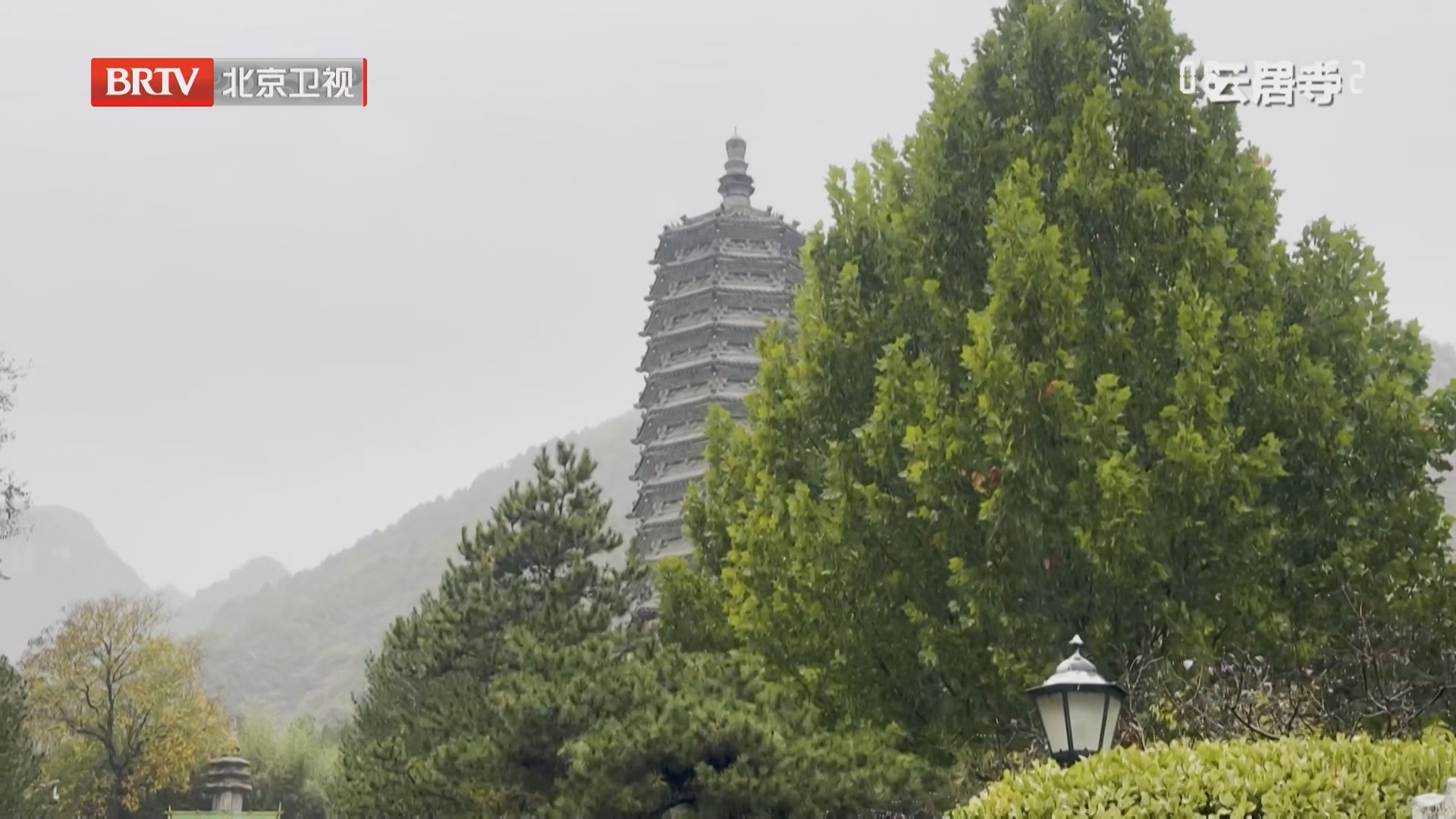 一城秋雨 满目秋华