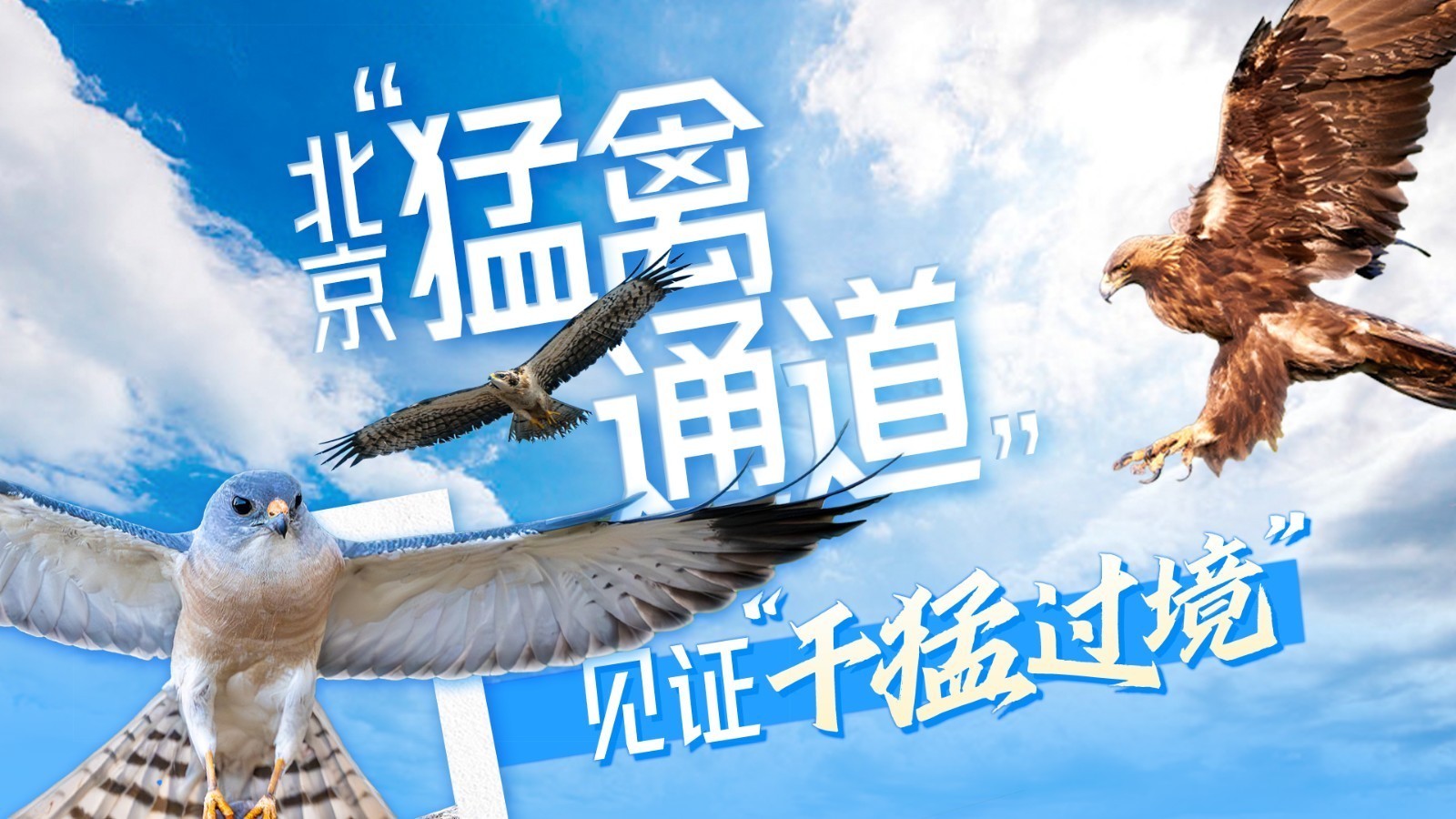 在北京见证“千猛过境”奇观！一图解锁“鹰击长空”的终极奥秘→
