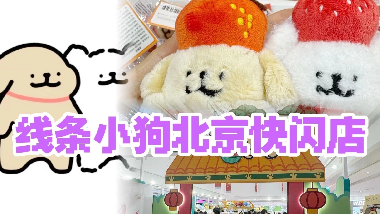 线条小狗北京快闪店登陆合生汇！快来看看京味儿十足的“修狗”
