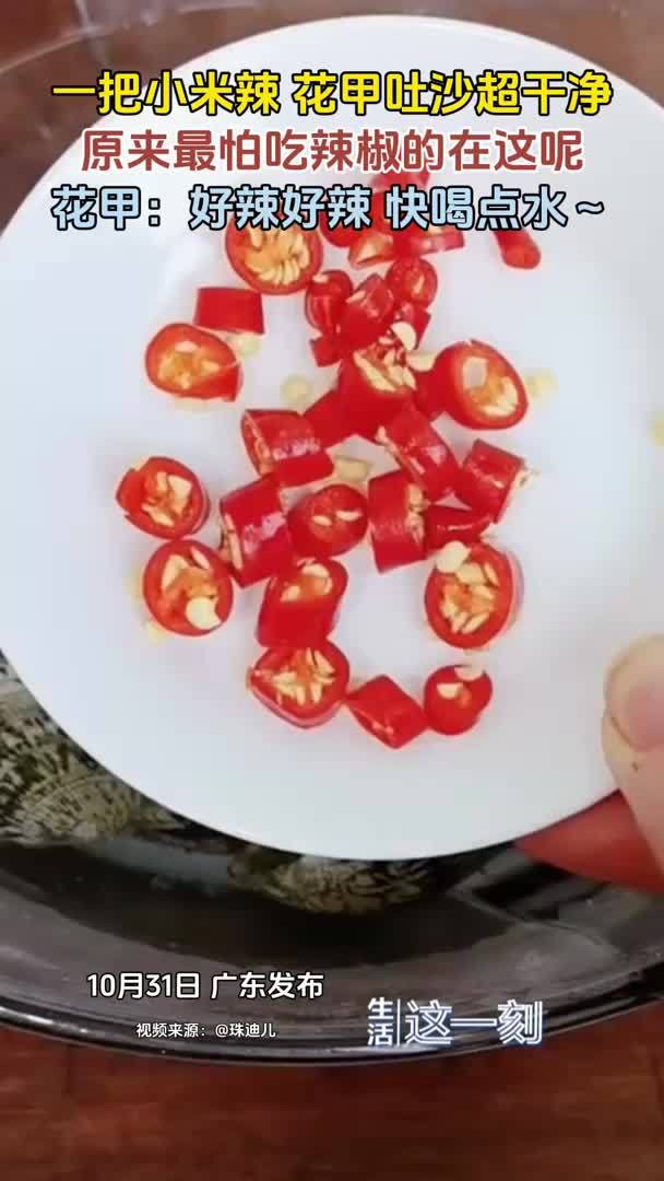 一把小米椒让花甲吐沙吐个干净