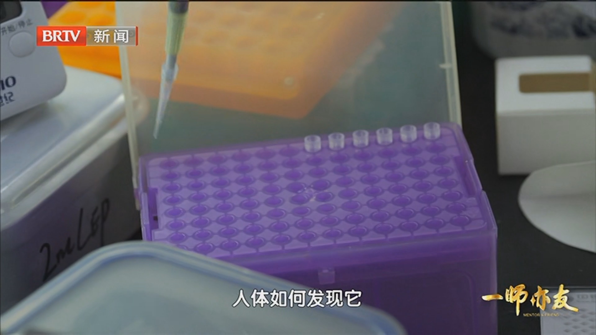 细胞焦亡创新药 聚焦炎症与肿瘤治疗
