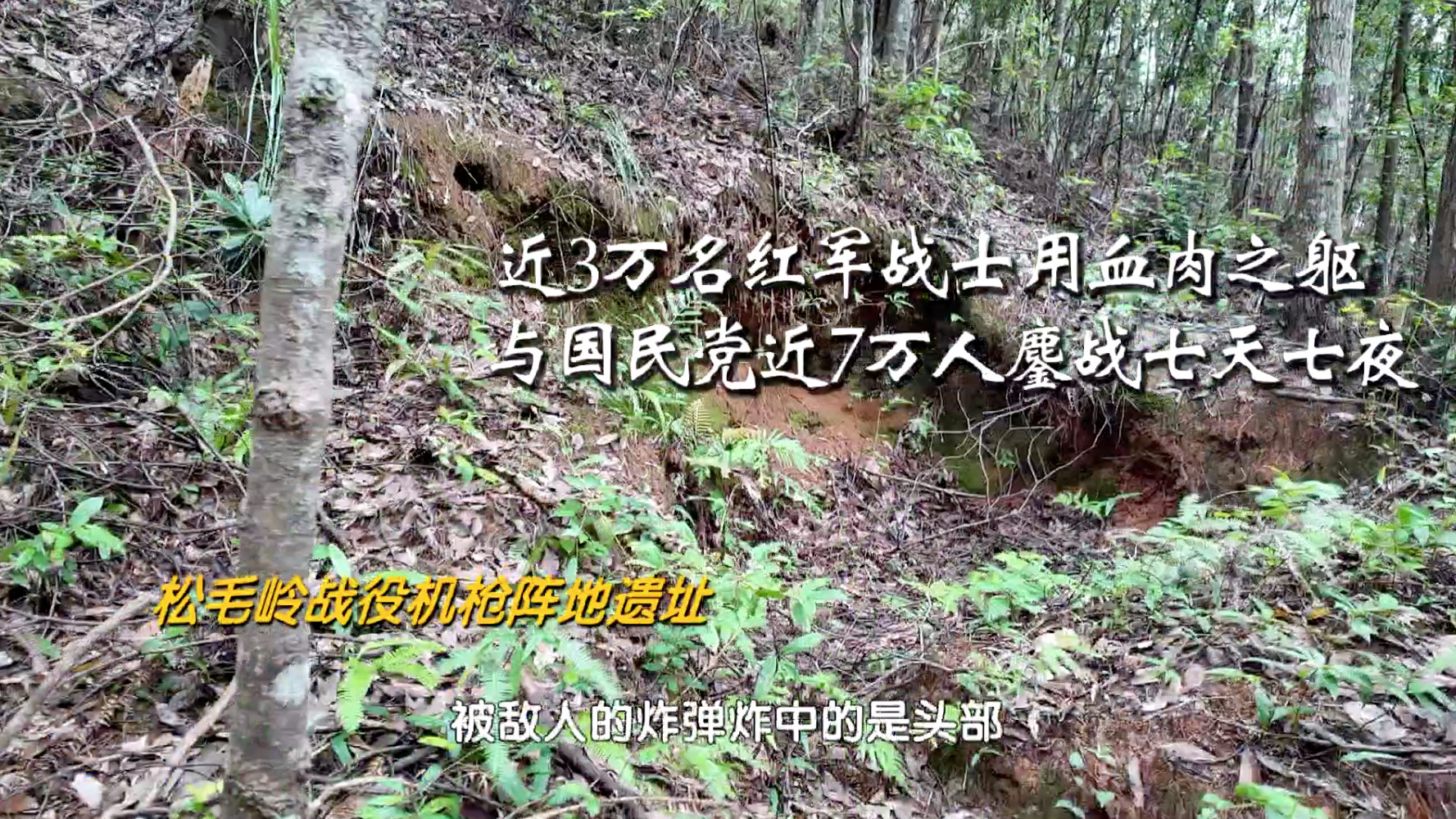松毛岭保卫战，他们血战七天七夜，为长征赢得宝贵时间！