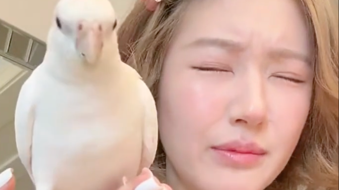 赵露思在直播时称扁桃体发炎 现“宝鹃”嗓