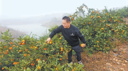 北冰洋汽水有了丹江味儿