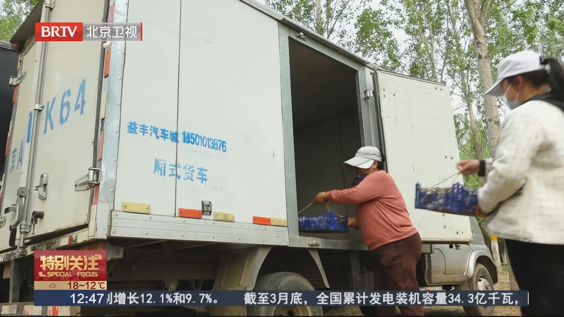 走进平谷区峪口镇 探秘生态与闲适的诗意之旅