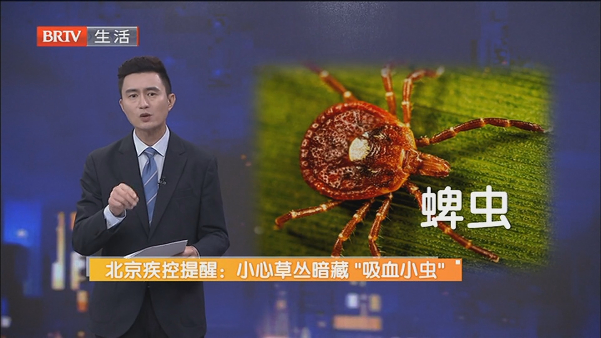 北京疾控提醒：小心草丛暗藏“吸血小虫” 被蜱虫咬了怎么办？千万不要硬拔