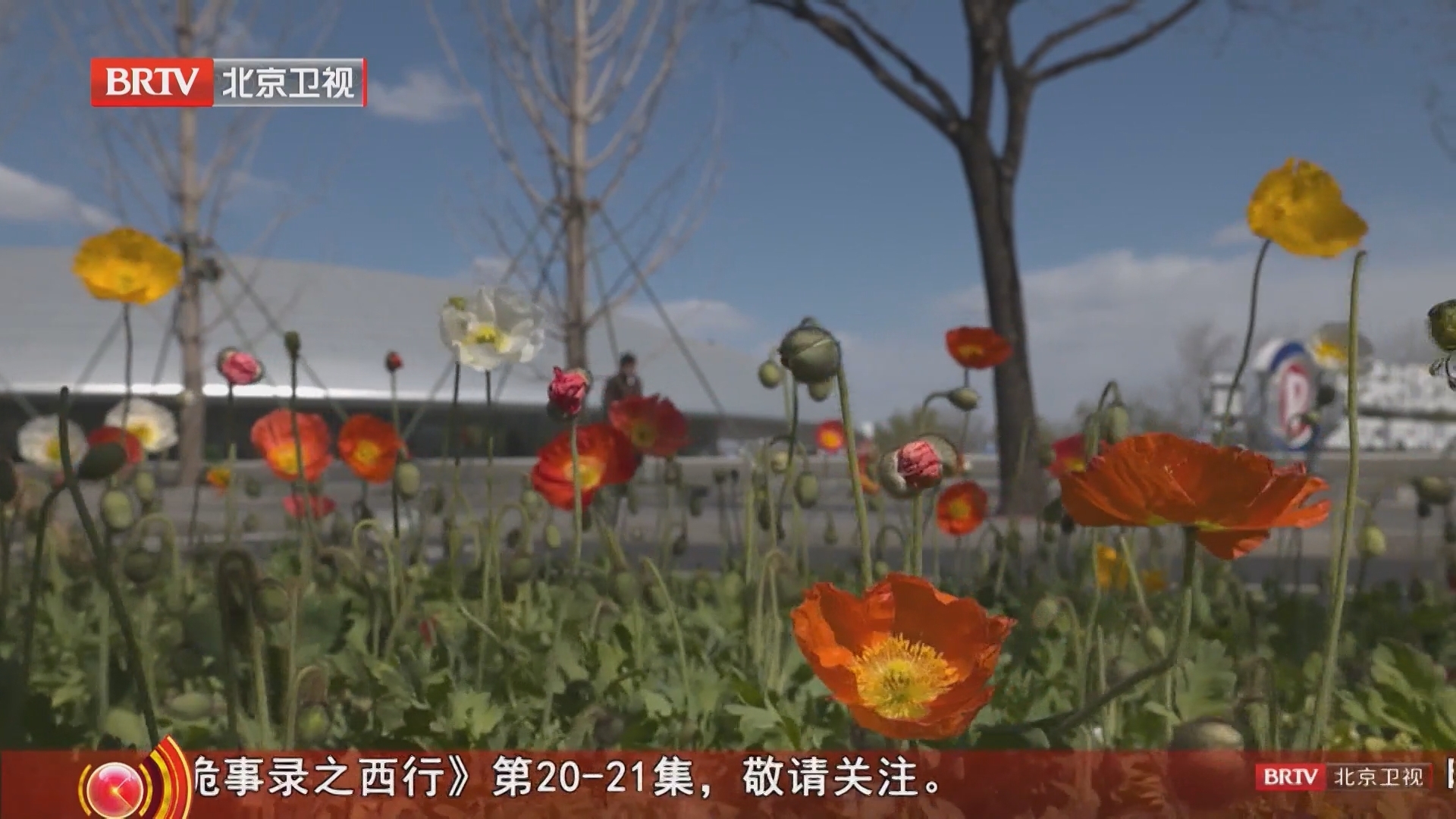 《为你喝彩》20260325创新的背后 2026中关村论坛特别节目