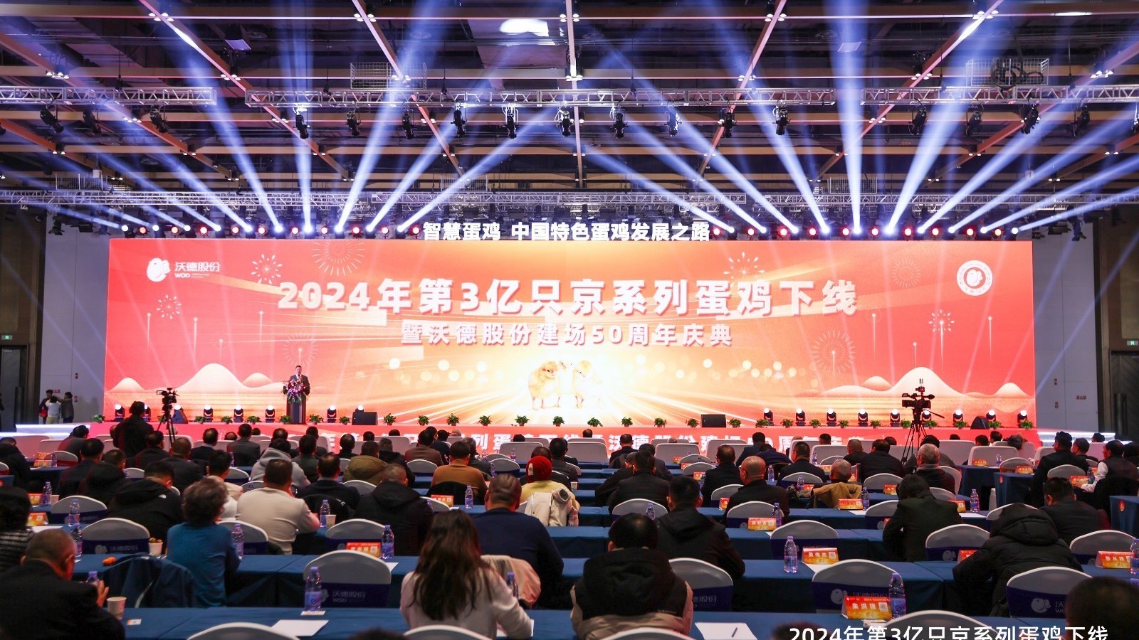 京系列蛋鸡总产量超78亿只，年推广量首次突破3亿只