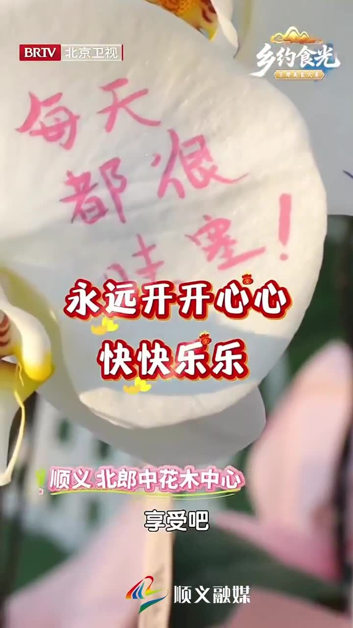 打卡顺义北郎中花木中心!把能想到的所有美好祝福都写在蝴蝶兰上 打卡顺义北郎中花木中心!把能想到的所有美好祝福都写在蝴蝶兰上