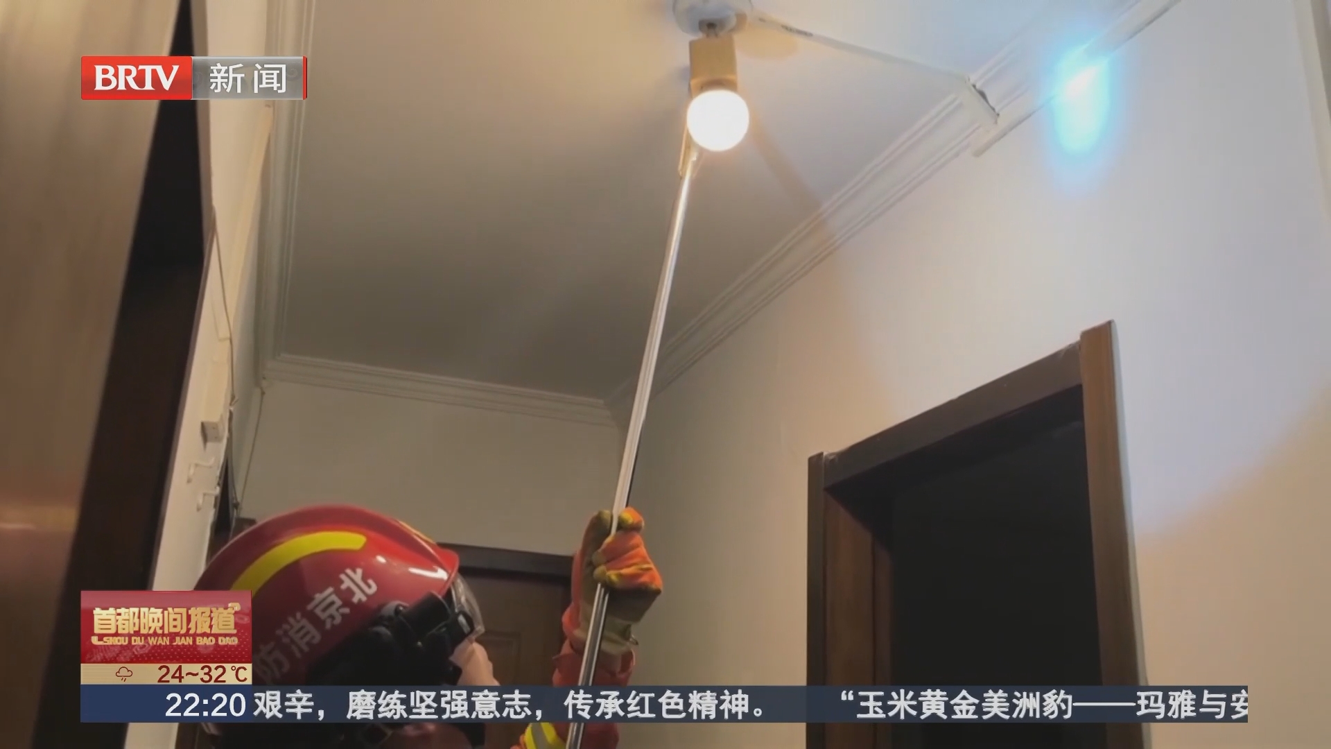 不要摸！医生提醒：被蝙蝠咬伤抓伤后需尽快就医