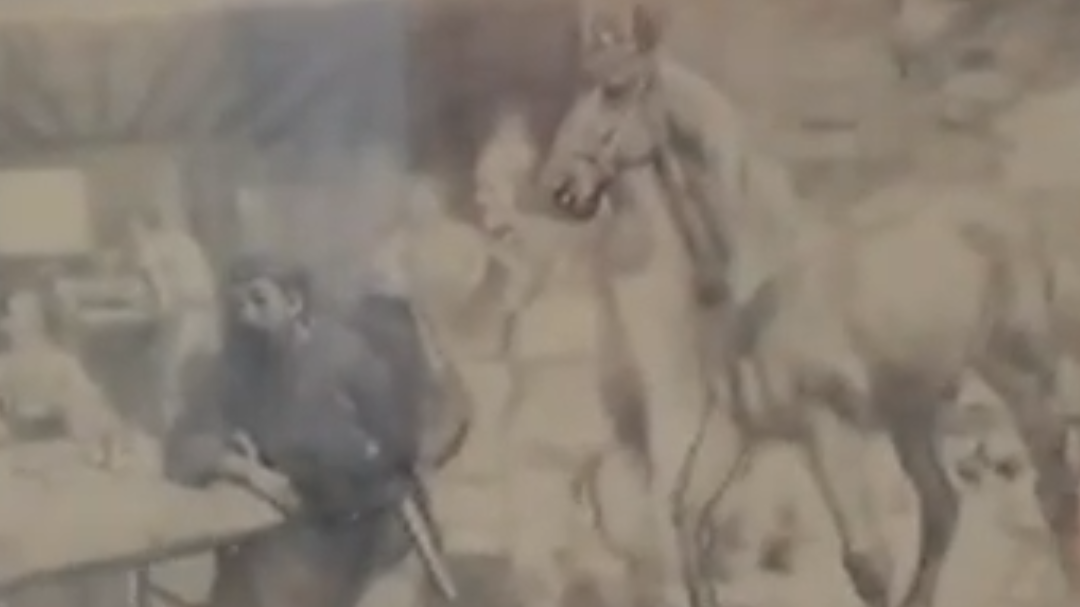 《隋唐演义》里秦琼卖的是什么马？