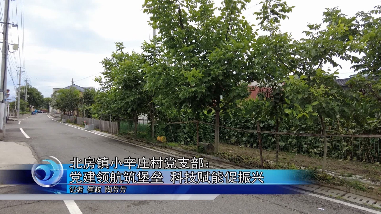 北房镇小辛庄村党支部：党建领航筑堡垒 科技赋能促振兴