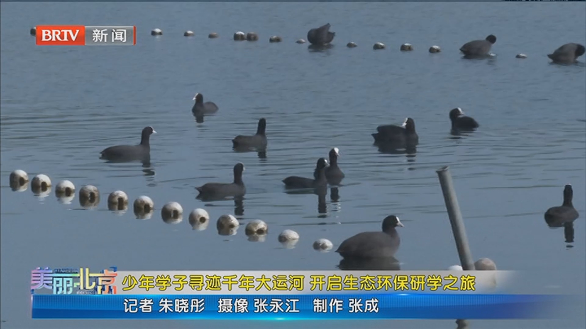 《美丽北京》20251031少年学子寻迹千年大运河 开启生态环保研学之旅