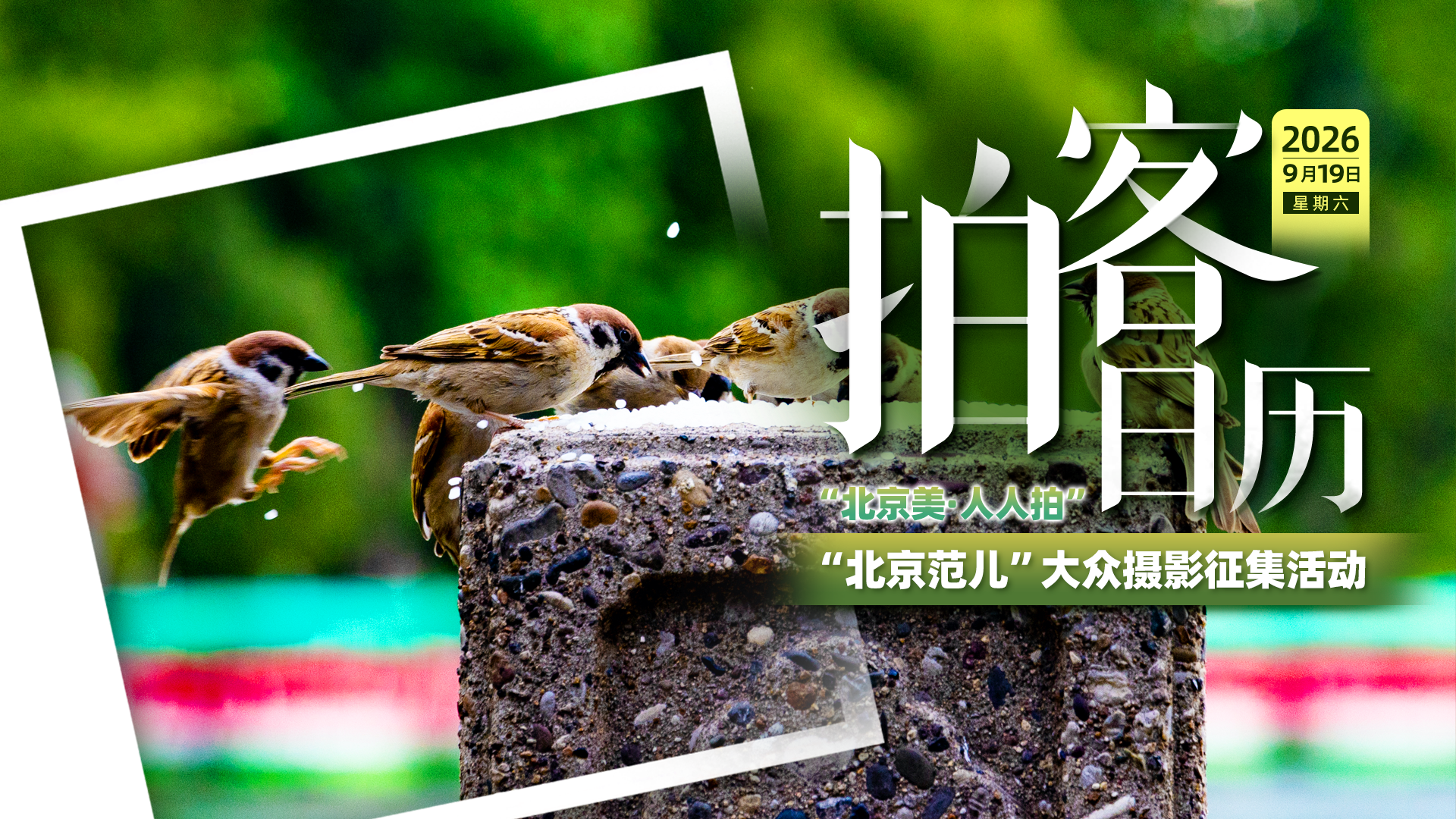 拍客日历|9.4-9.18一周回顾,定格京城秋日美好瞬间 拍客日历|9.4-9.18一周回顾,定格京城秋日美好瞬间