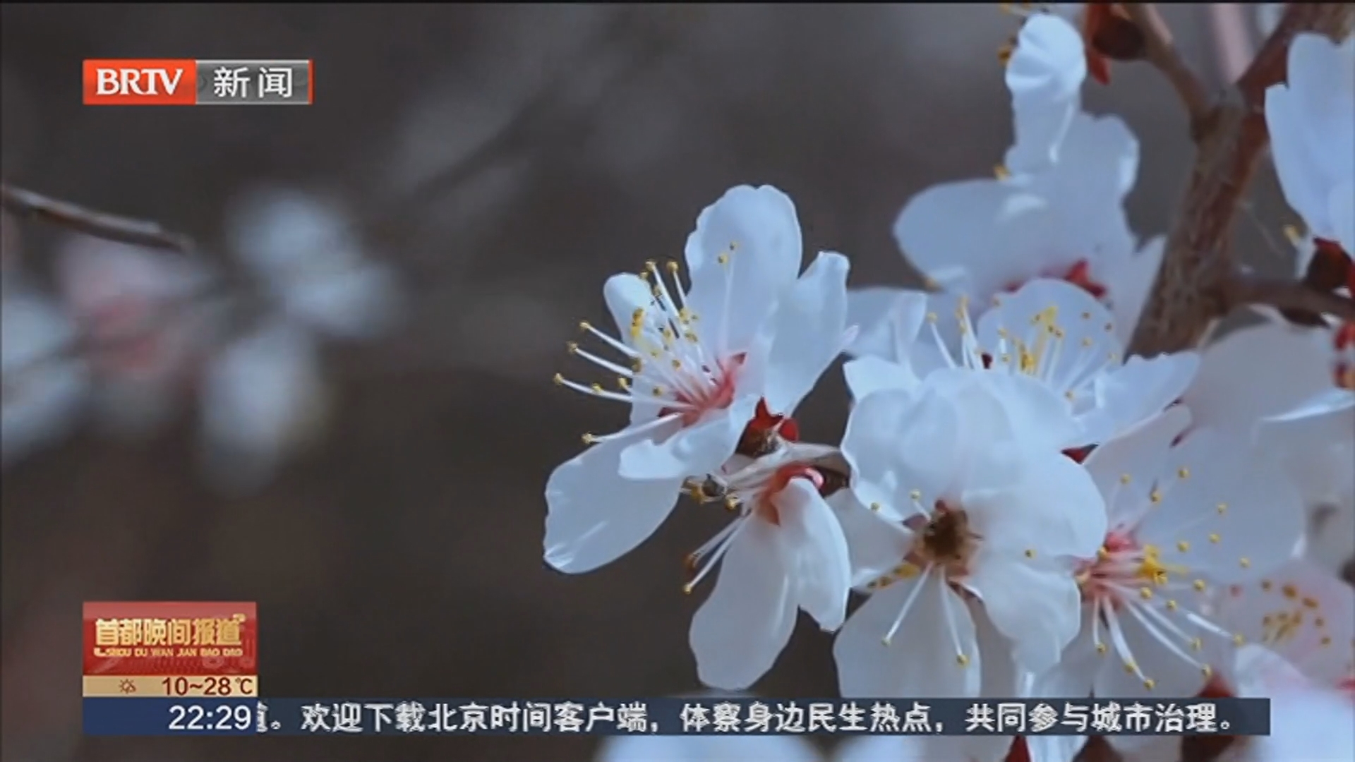 《首都晚间报道》20260429