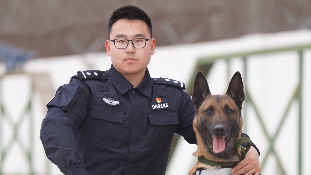 看缉毒犬5秒找到毒品！“无言的战友 不可或缺”
