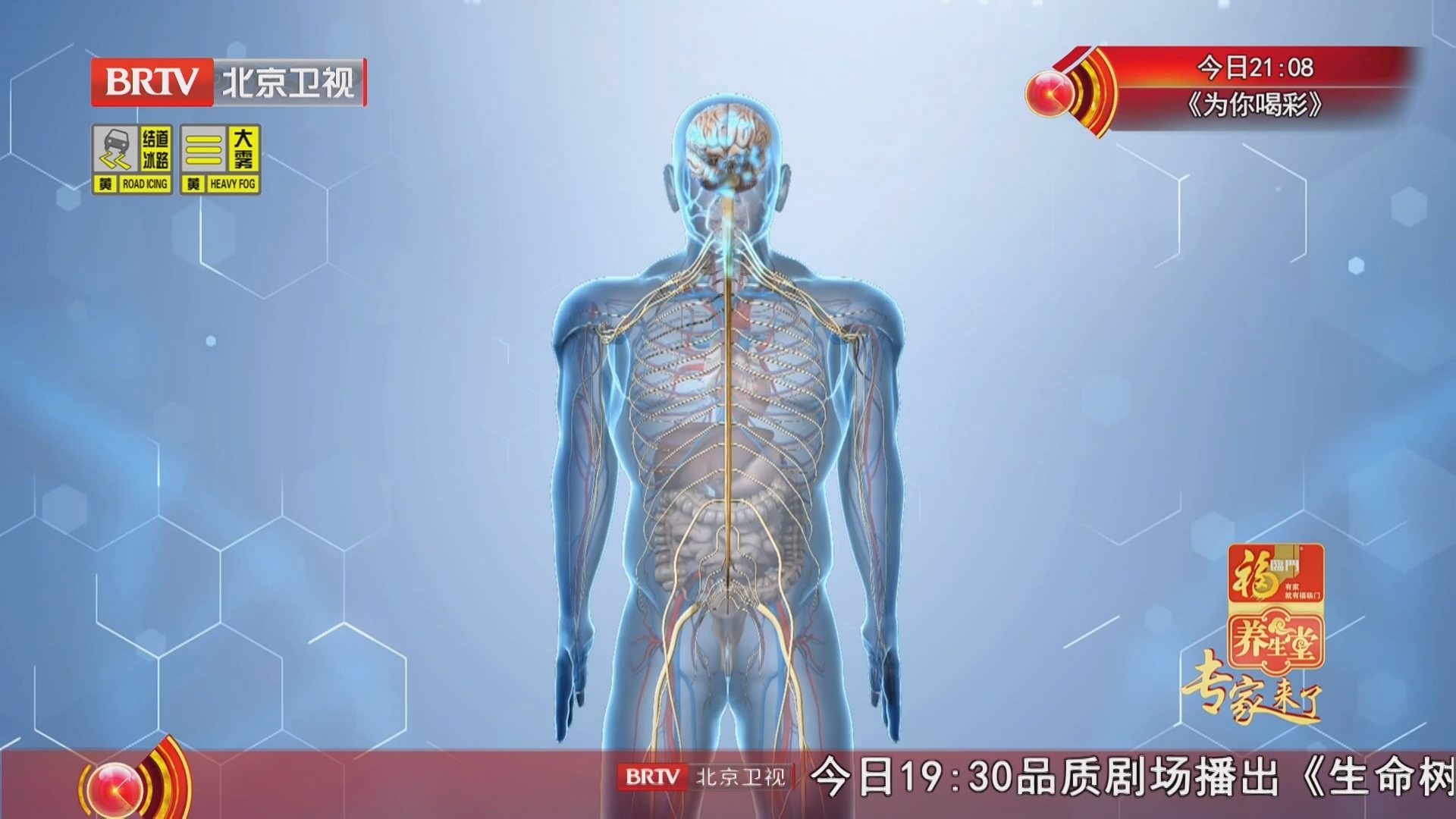 《养生堂》20260304我的健康 有“医”靠（1）