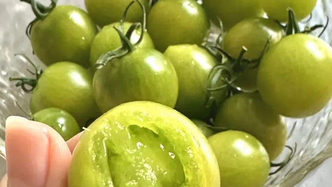 不止延缓内脏衰老,这种水果型蔬菜,连吃6周,能明显减轻脂肪肝,还能抗炎抗氧化 不止延缓内脏衰老,这种水果型蔬菜,连吃6周,能明显减轻脂肪肝,还能抗炎抗氧化