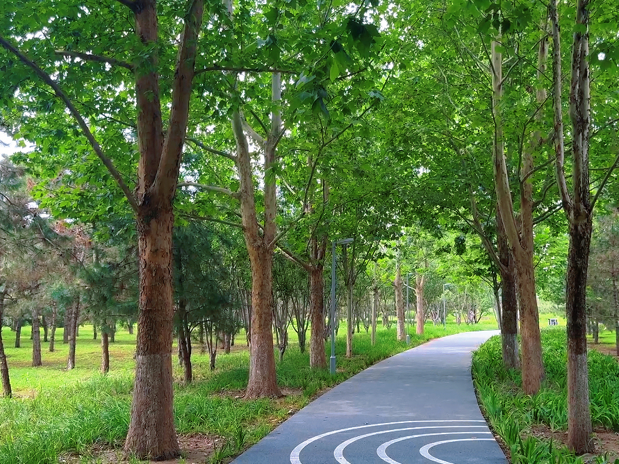 快看!房山区长阳公园生物多样性保育小区示范项目竣工—— 快看!房山区长阳公园生物多样性保育小区示范项目竣工——