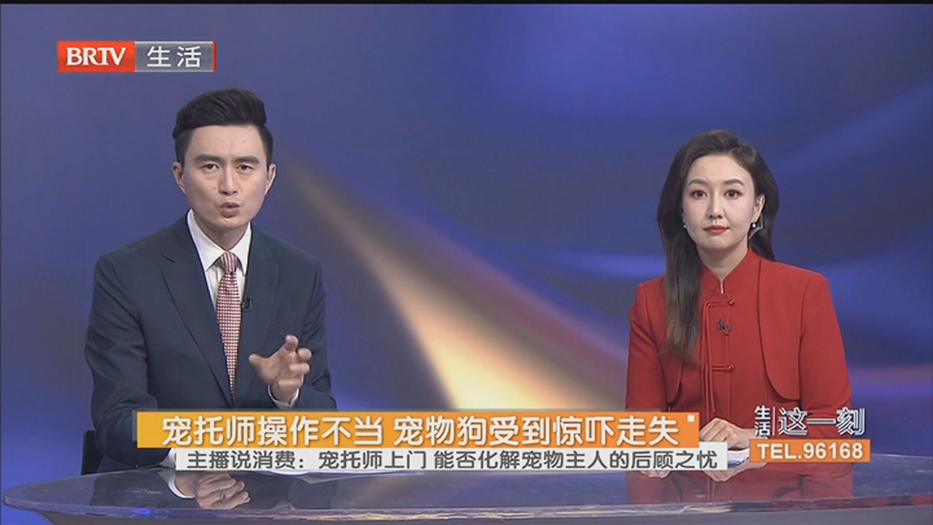 宠托师操作不当 宠物狗受到惊吓走失 主播说消费:宠托师上门 能否化解宠物主人的后顾之忧 宠托师操作不当 宠物狗受到惊吓走失 主播说消费:宠托师上门 能否化解宠物主人的后顾之忧