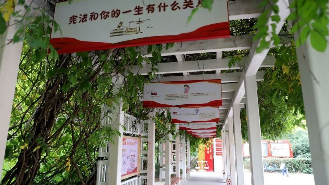 法治文化长廊“亮相”太阳宫 邻里节普法宣传活动精彩纷呈