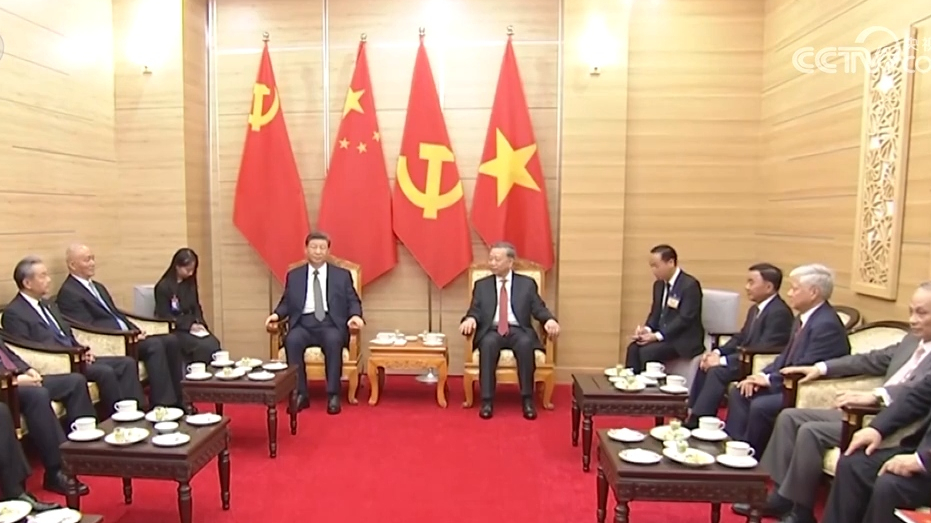 习近平同越共中央总书记苏林话别