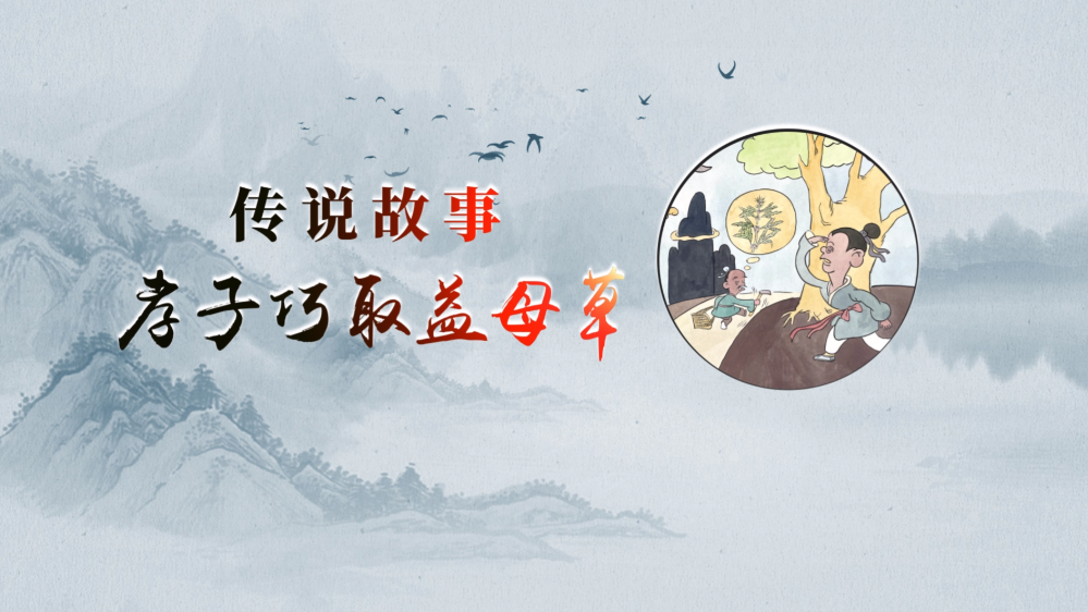 13.“妇科良药益母草,儿子巧用尽孝心” ——中药传说故事 13.“妇科良药益母草,儿子巧用尽孝心” ——中药传说故事