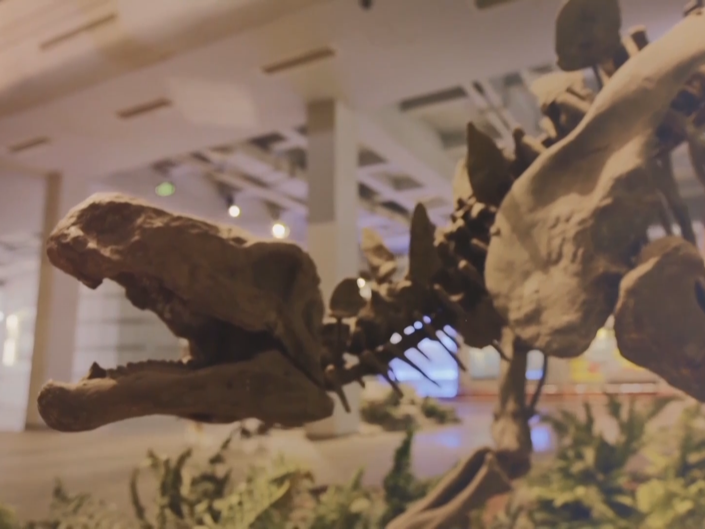 自贡大山铺恐龙化石群遗址入选! 自贡大山铺恐龙化石群遗址入选!