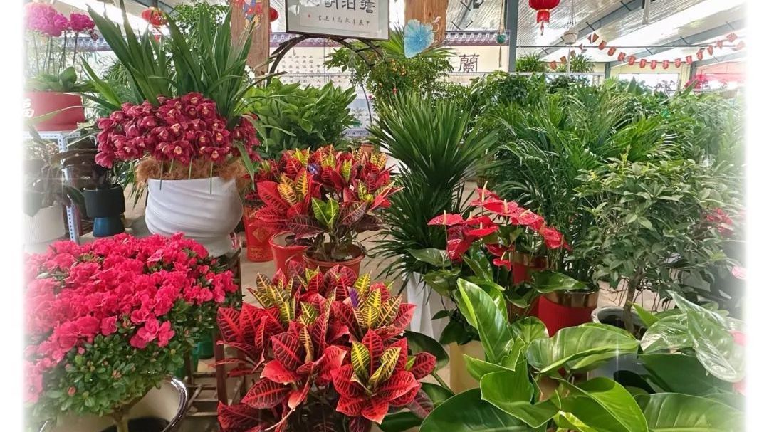 打卡!咱大房山的“桃花源” 打卡!咱大房山的“桃花源”