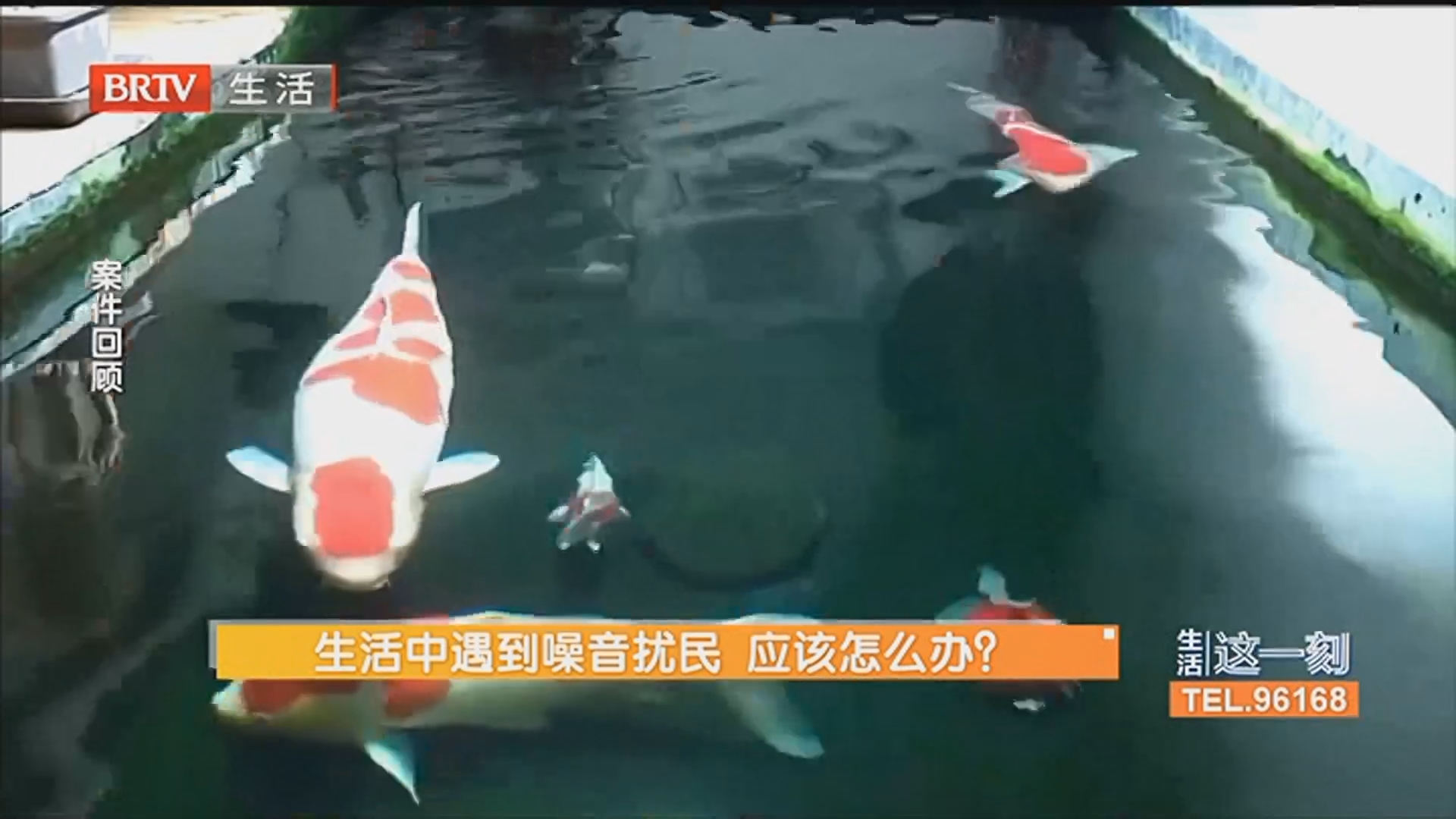 生活中遇到噪音扰民 应该怎么办?噪音扰民不听劝?新治安管理处罚法亮剑 生活中遇到噪音扰民 应该怎么办?噪音扰民不听劝?新治安管理处罚法亮剑