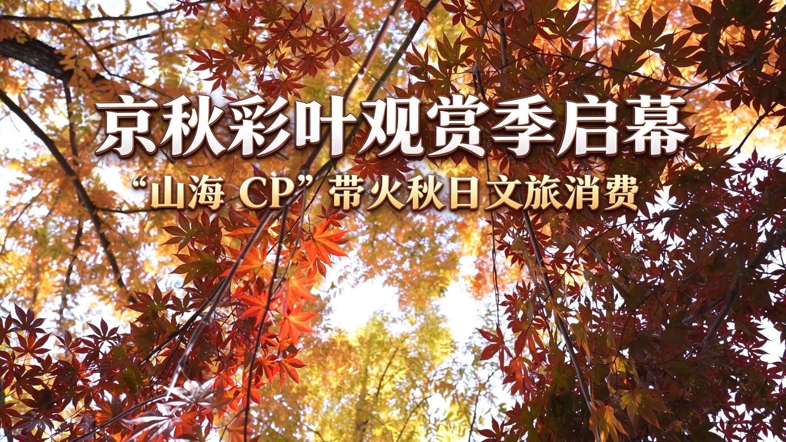 京秋彩叶观赏季启幕 “山海 CP”带火秋日文旅消费 京秋彩叶观赏季启幕 “山海 CP”带火秋日文旅消费