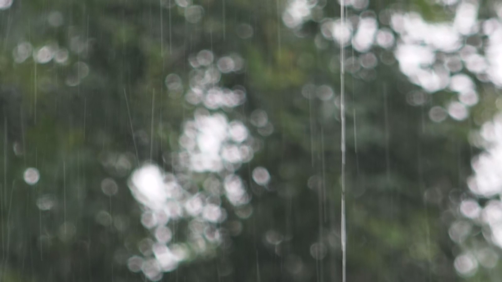 四预警生效中！北京多地现较强降雨 出行注意安全