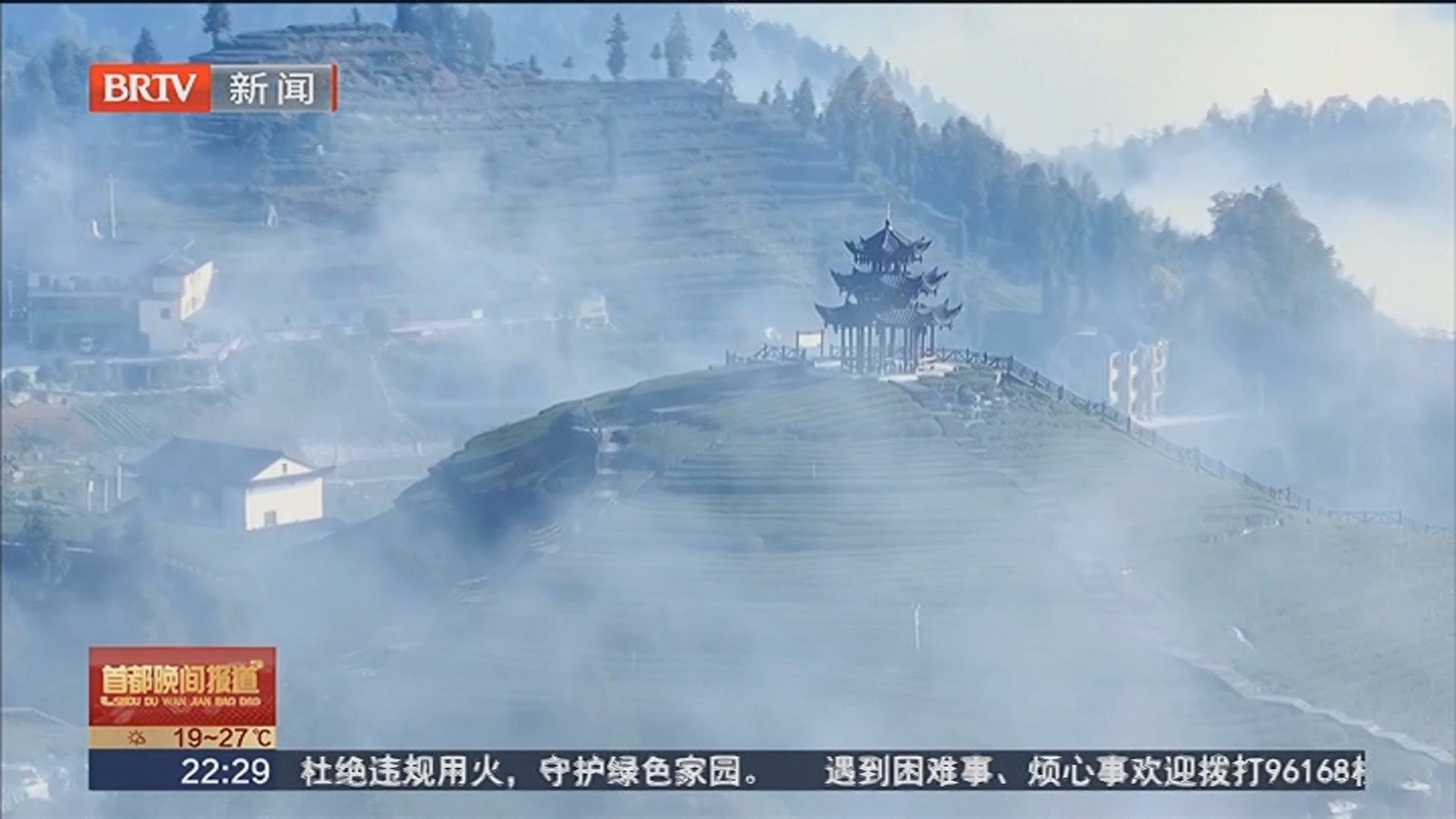 茶园晨景