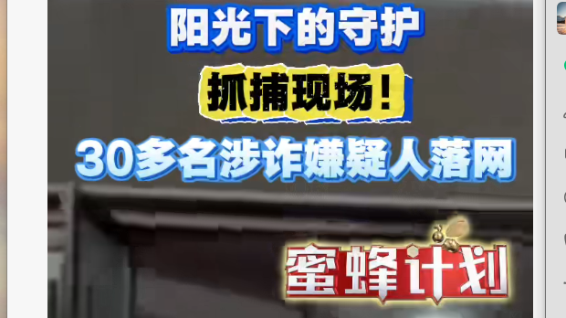 阳光下的守护 抓捕现场！30多名涉诈嫌疑人落网