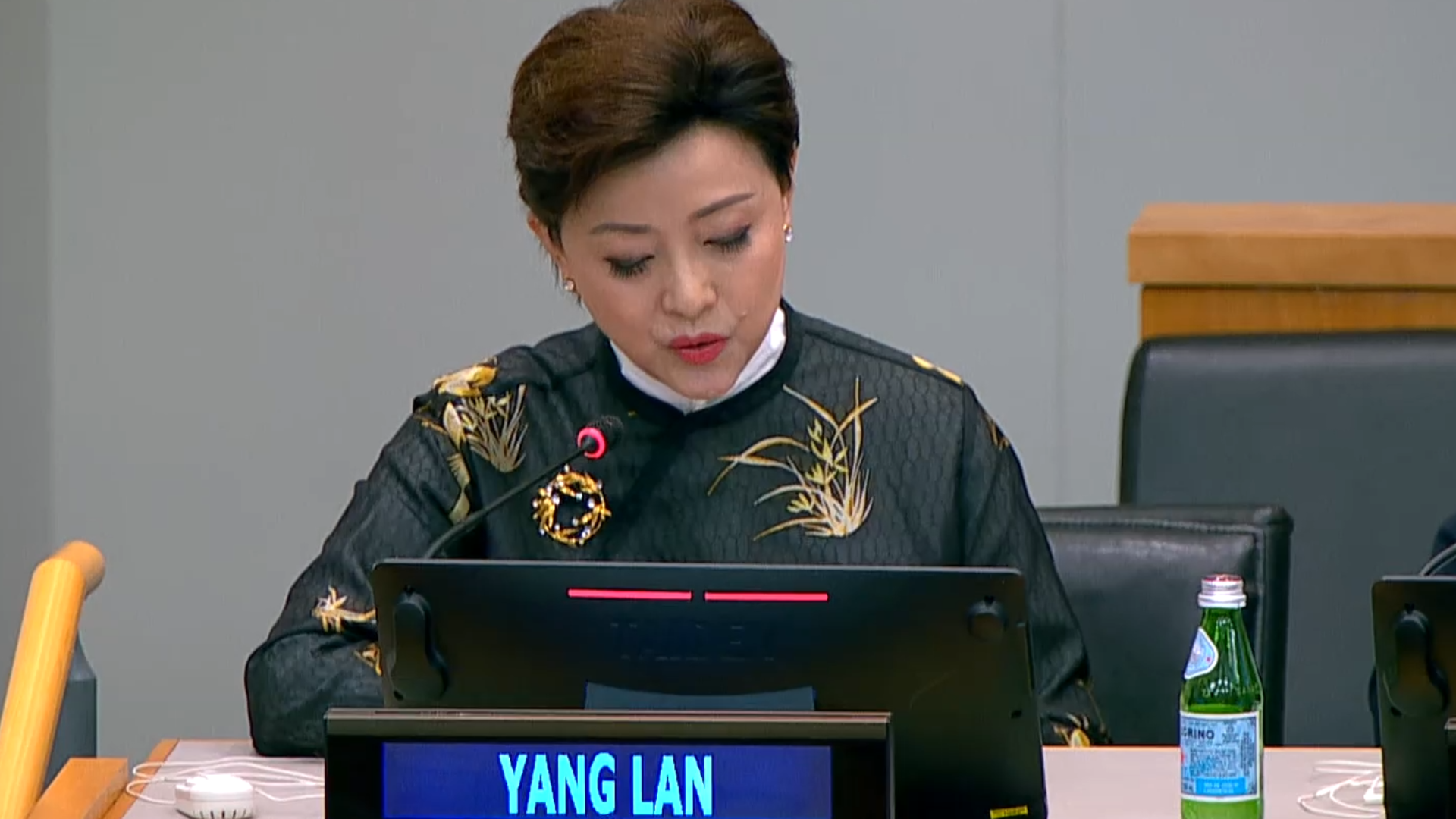 杨澜在联合国会议上发言