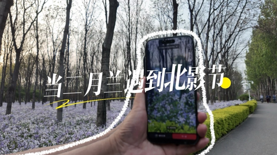 当二月兰遇见北京国际电影节