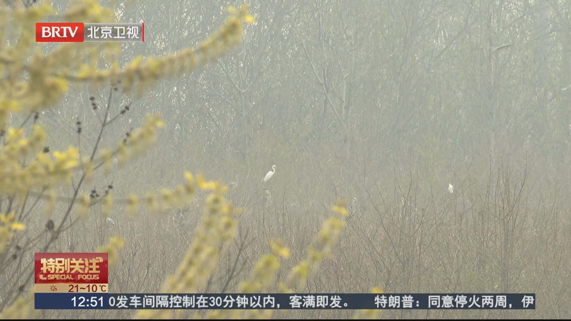 张家湾公园推出生态观鸟路线