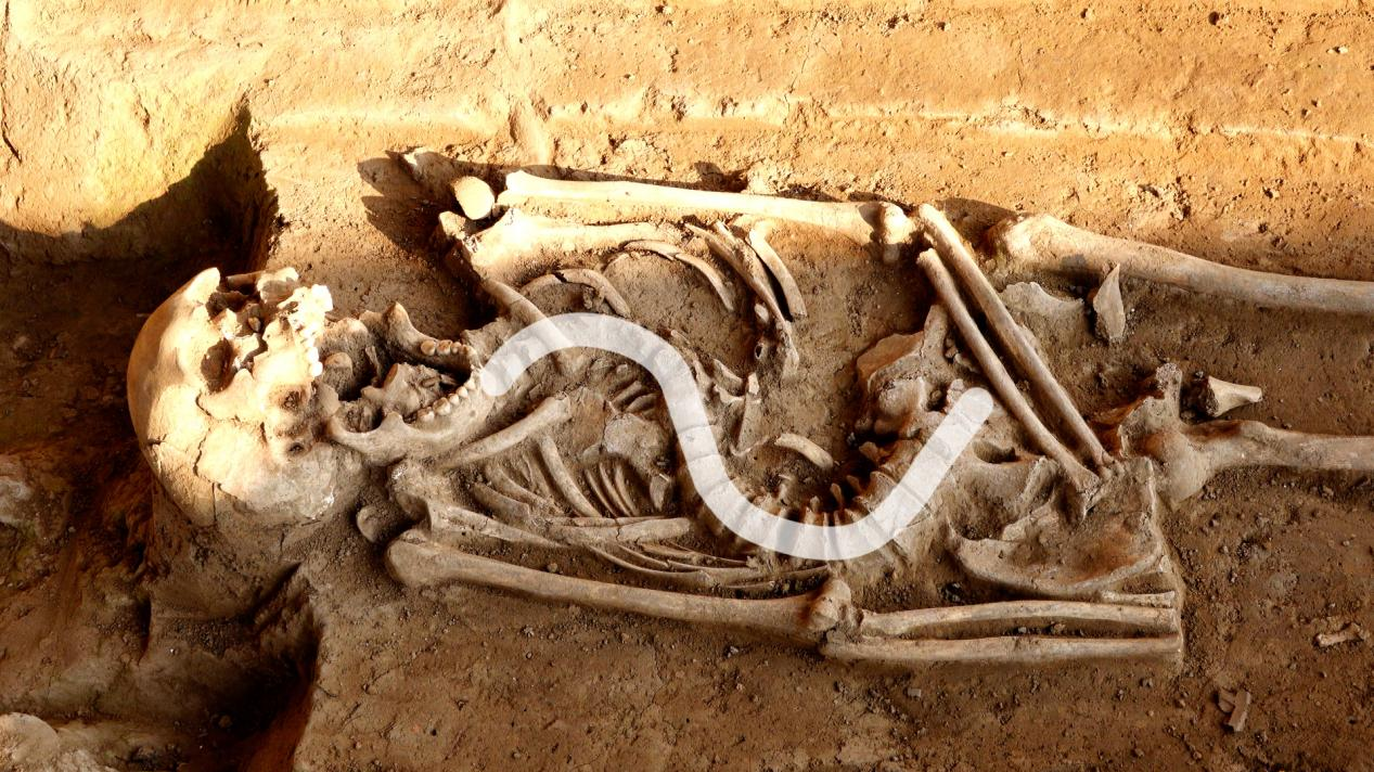 近亲结婚脊柱侧弯，3000年前“燕都一家人”被科技考古DNA技术还原