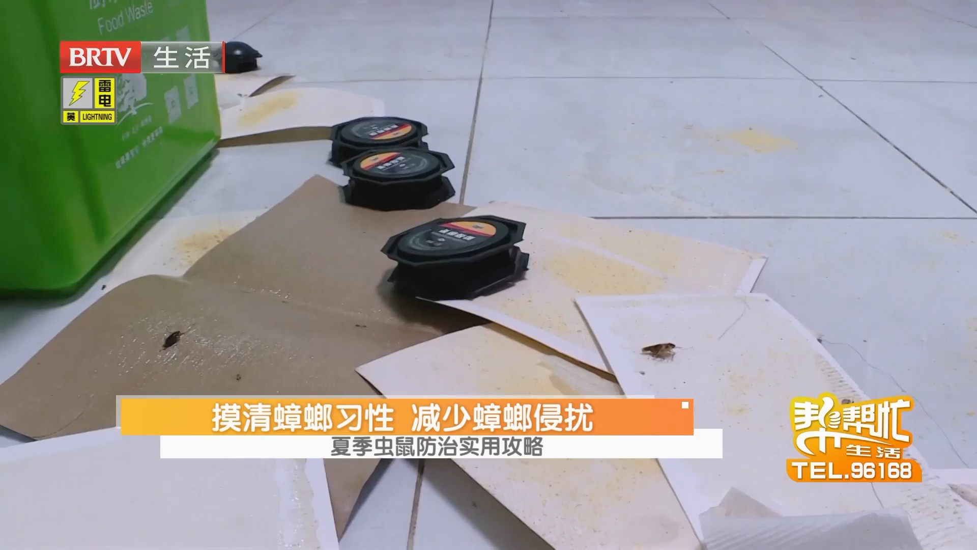 夏季虫鼠防治实用攻略 摸清蟑螂习性 减少蟑螂侵扰（一）