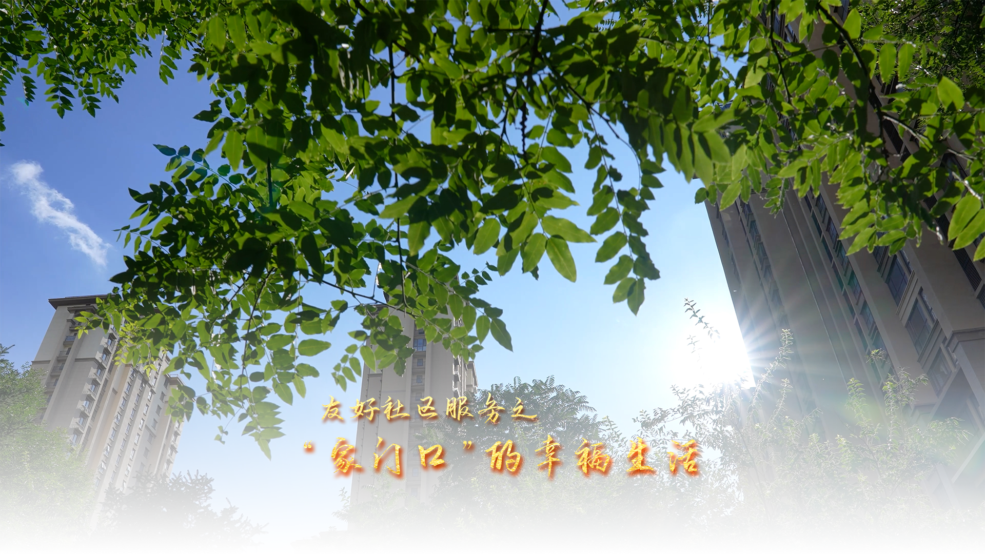 《“友好社区服务”之“家门口”的幸福生活》