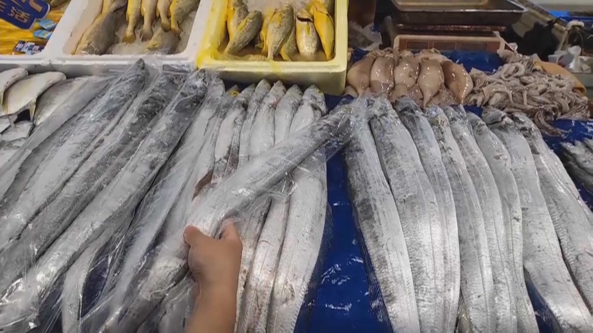 买带鱼选冰鲜还是冷冻？营养师讲透真实差别