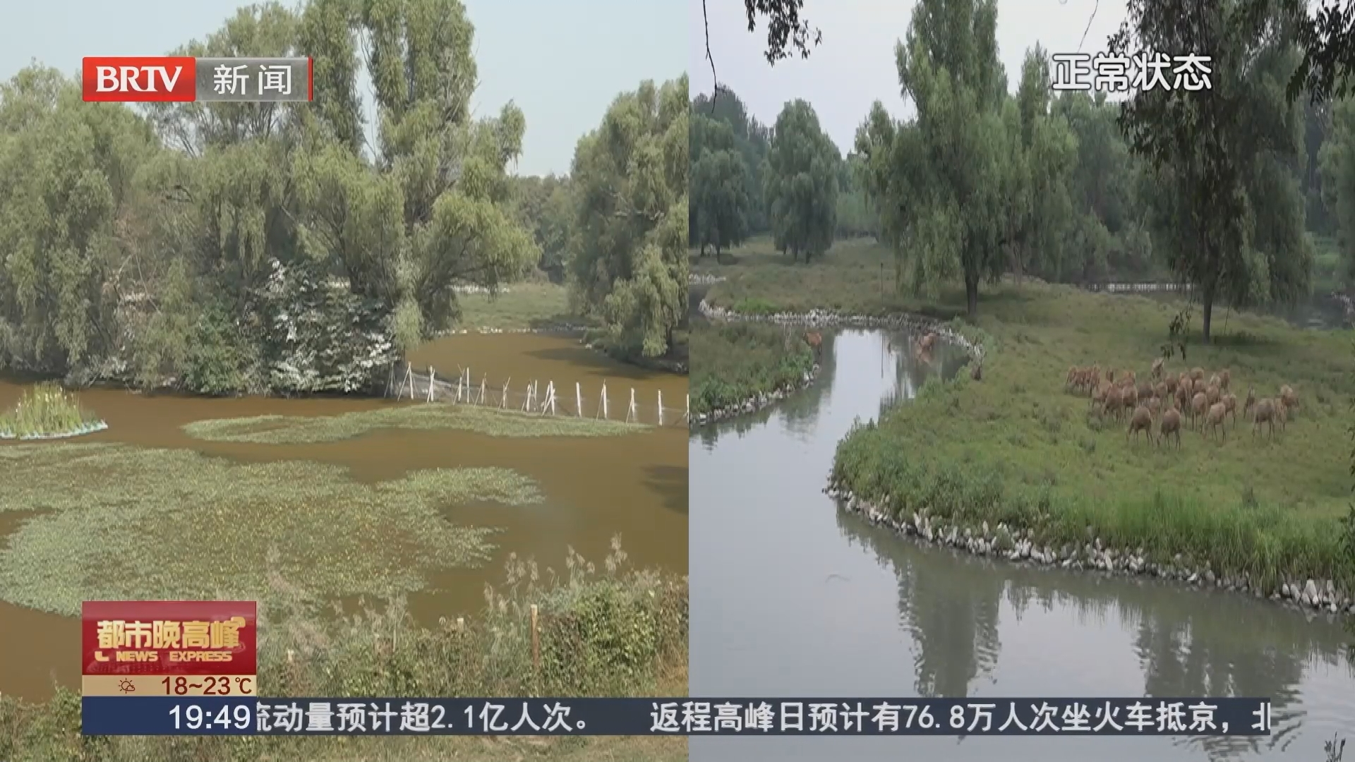 麋鹿苑水面“变红” 游客众说纷纭